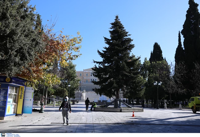 Χριστουγεννιάτικο δέντρο Σύνταγμα