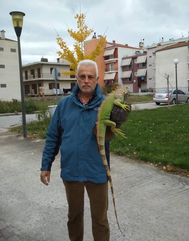 Παράτησαν τεράστιο ιγκουάνα σε κάδο σκουπιδιών στη Λάρισα
