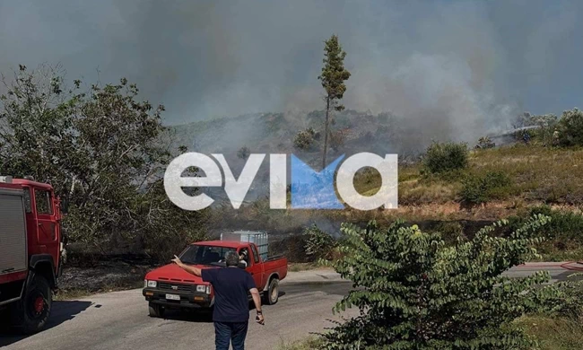 ΦΩΤΙΑ ΕΥΒΟΙΑ ΚΟΝΤΟΔΕΣΠΟΤΙ