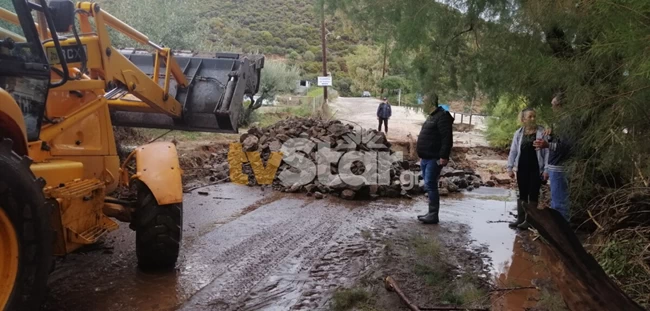 ΕΥΒΟΙΑ ΒΟΣΚΟΣ
