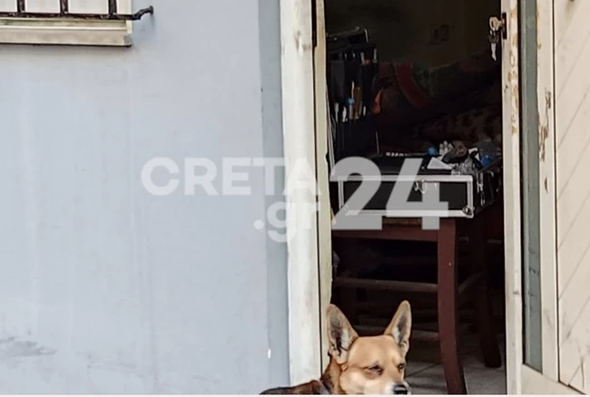 ΧΑΝΙΑ ΕΓΚΛΗΜΑ