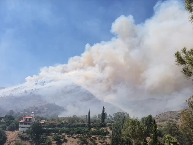 Κύπρος φωτιά