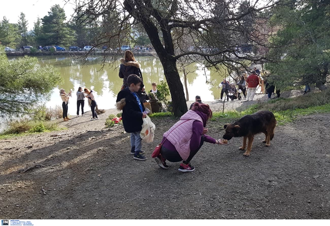 τατοι