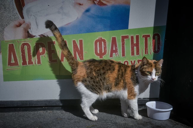 "Βροχή" τα πρόστιμα σε διόδια και εθνικές οδούς: Υποχρεωτική αναστροφή στους παραβάτες