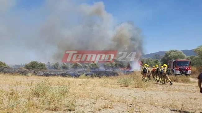 Αχαΐα: Πυρκαγιά ξέσπασε σε αγροτοδασική έκταση στην περιοχή Ράχη - Επιχειρούν και δύο πετζετέλ