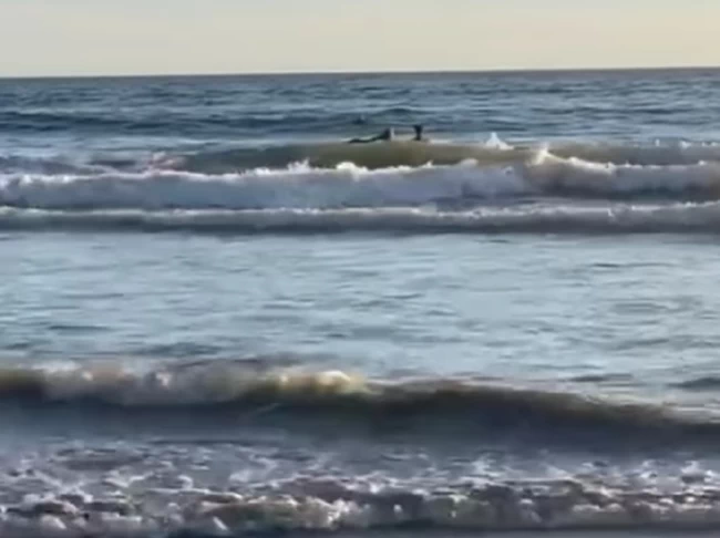 "Νίκησα άλλη μια φοβία μου": Η Τατιάνα Μπλάτνικ σερφάρει στον ωκεανό με μαύρη ολόσωμη στολή Τατιάνα