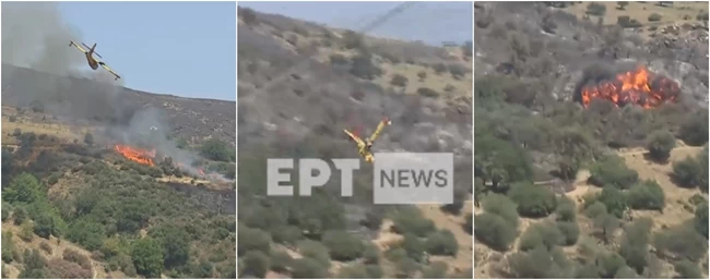 Τραγωδία: Πώς έπεσε το Canadair στην Κάρυστο- Βρήκε ο πλωτήρας σε δέντρο, καρφώθηκε στο έδαφος [εικόνες, βίντεο]