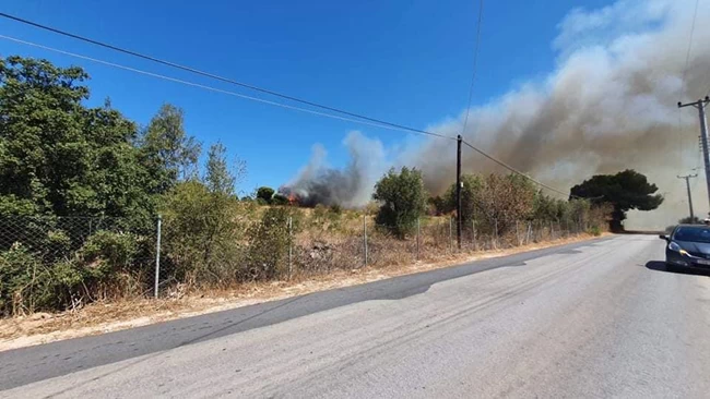 Ραφήνα φωτιά