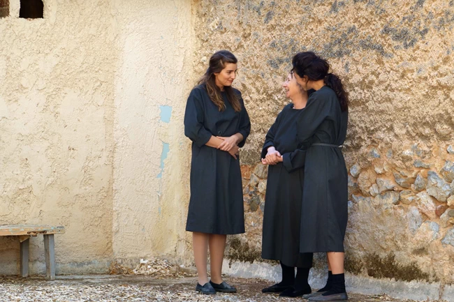 Άγριες Μέλισσες spoiler: Η Ελένη τραυματίζεται σοβαρά & δίνει μάχη για τη ζωή