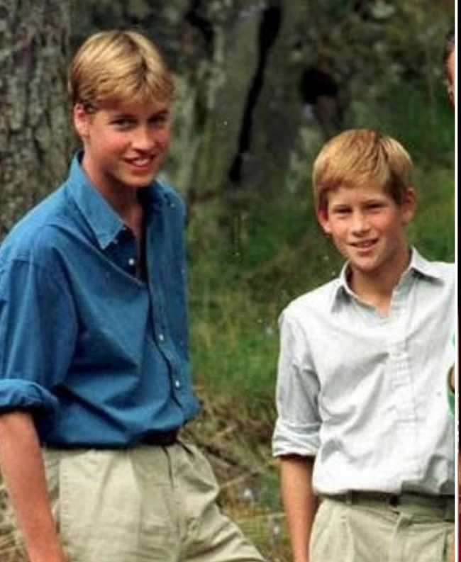 DIANA HARRY WILLIAM
