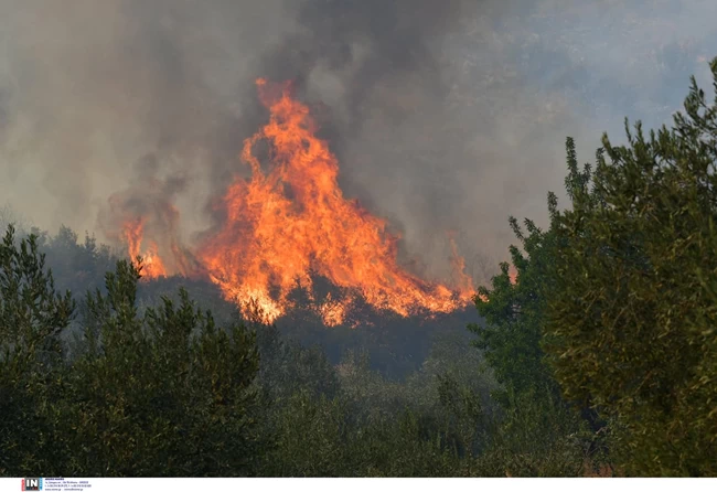 Σε πύρινο κλοιό η Αργολίδα - Εκκενώθηκε το χωριό Γκάτζια - Μεγάλη φωτιά και στη Χαλκίδα, κοντά σε σπίτια οι φλόγες [Εικόνες-Βίντεο]
