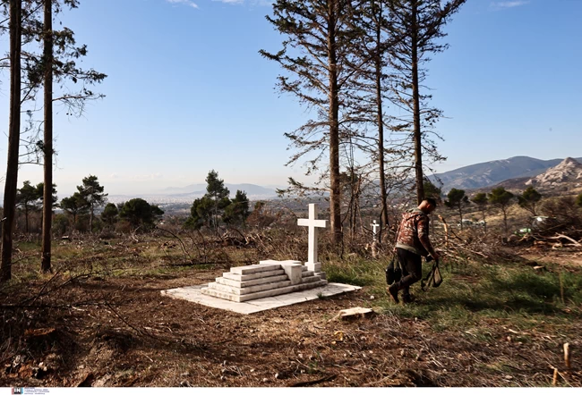 Τατόι