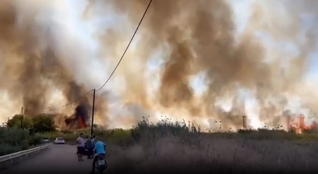 ΦΩΤΙΑ ΑΣΠΡΟΠΟΥΛΙΑ