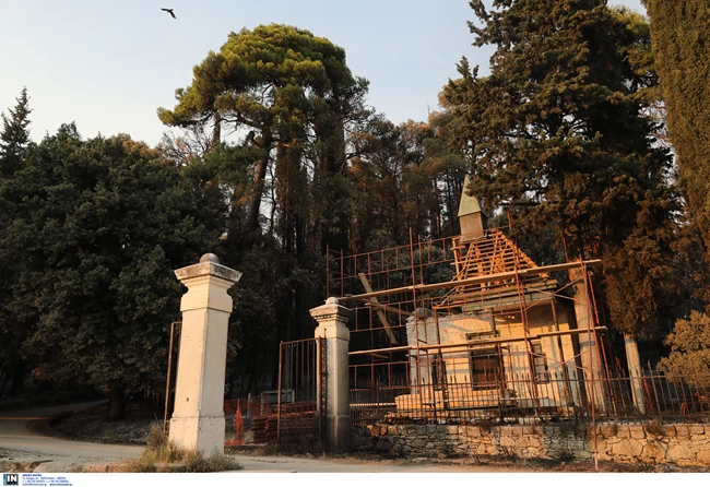 Τατόι φωτιά