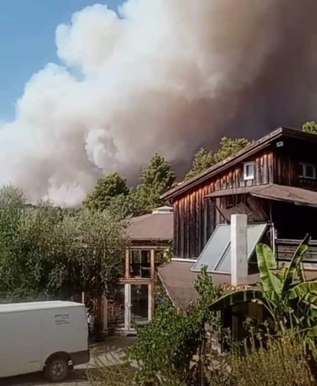 Κρέστενα Ηλείας: Ανεξέλεγκτη η πυρκαγιά, καίγονται σπίτια στη Σκιλλουντία – Εκκενώνεται η κατασκήνωση στη Φρίξα [εικόνες, βίντεο]