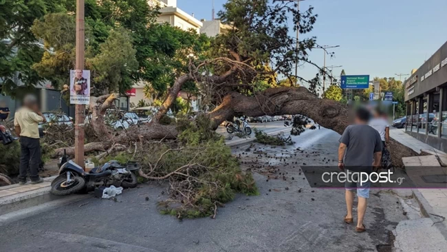 Ατύχημα δέντρο Κρήτη