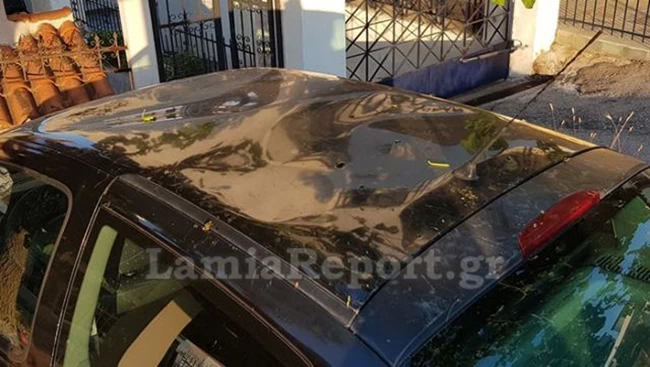κατσίκι ΙΧ 3