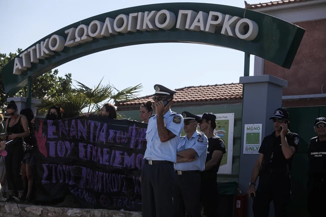 ΧΙΜΠΑΤΖΗΣ ΔΙΑΜΑΡΤΥΡΙΑ