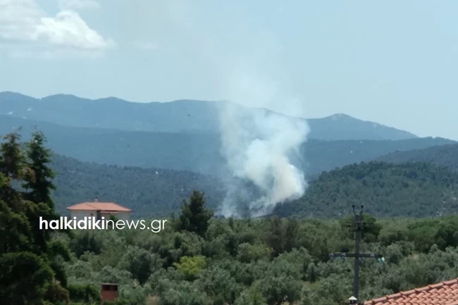 Μεγάλη φωτιά στη Χαλκιδική -Καίγεται δάσος στα Πηγαδάκια Σιθωνίας