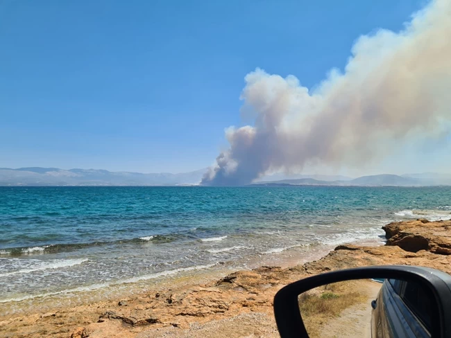 Ευβοια φωτια