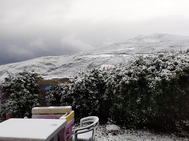 αμοργός