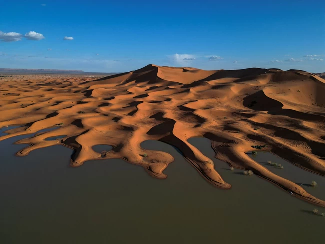 sahara