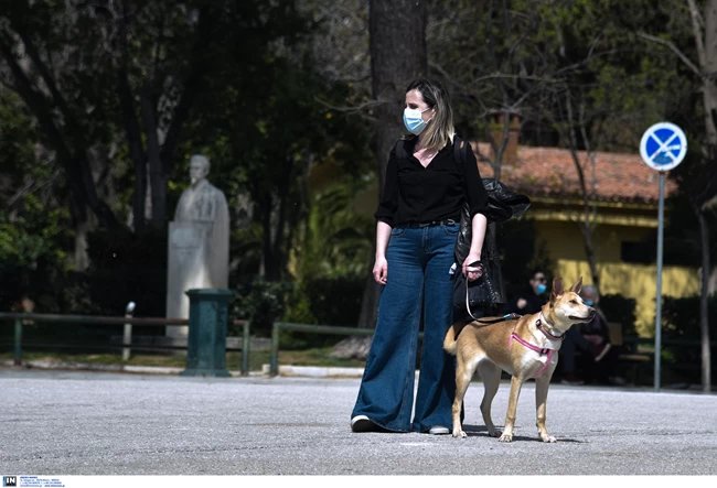 Βόλτα σκύλος