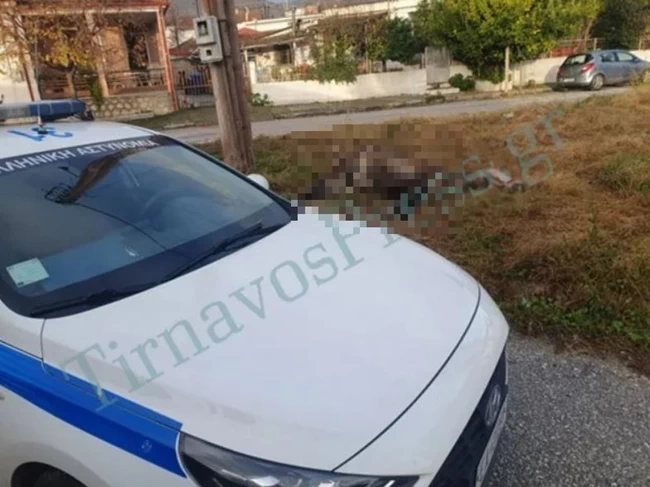 ΑΛΟΓΟ ΝΕΚΡΟ