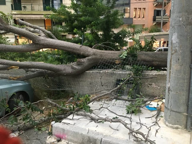 Kerkyra_kakokairia_Dentro_05082020
