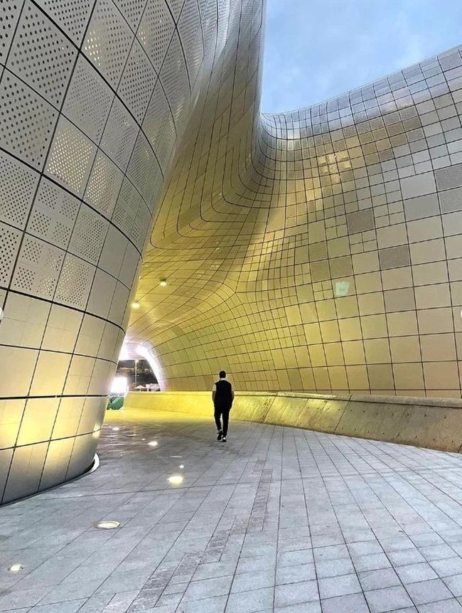 ΑΚΗΣ ΠΕΤΡΕΤΖΙΚΗΣ