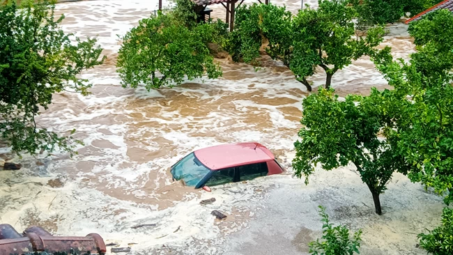 ΜΗΛΙΝΑ ΚΑΚΟΚΑΙΡΙΑ