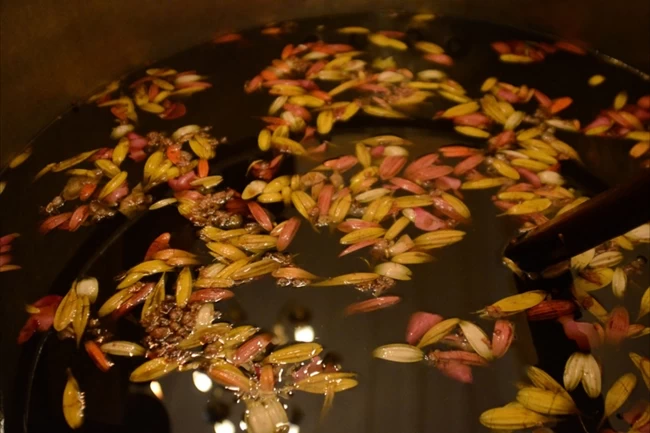 Aγιο Μύρο: Το καθαγιασμένο έλαιο παρασκευάζεται κάθε 10 χρόνια στο Φανάρι - Τα 57 σπάνια υλικά που χρησιμοποιούνται