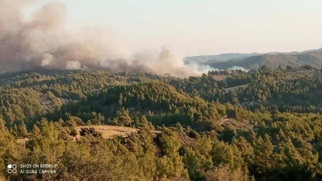 ΦΩΤΙΑ ΡΟΔΟΣ