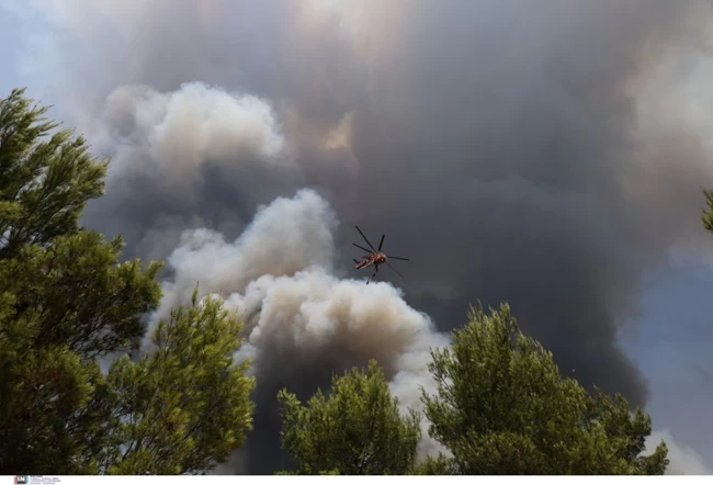 βασιλικα κτηματα