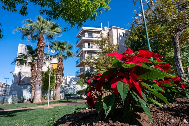 ΠΑΡΚΟ ΤΣΕΠΗΣ