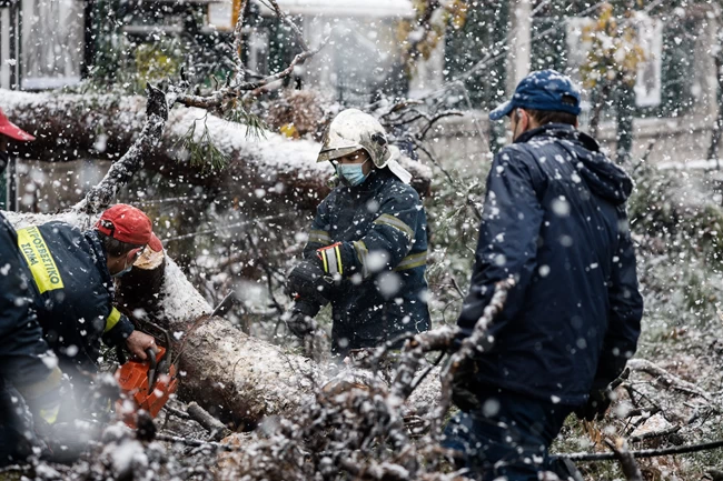 Κακοκαιρία "Μήδεια": 1.850 κλήσεις στην Πυροσβεστική για κοπές δέντρων, διασώσεις και μεταφορές ασθενών