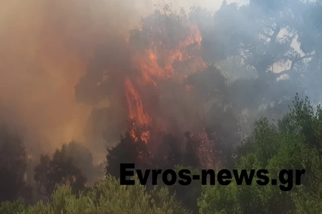 Φωτιά στο Αρίστηνο Έβρου: Εκκενώθηκαν τα παιδικά χωριά SOS - Ο άνεμος σπρώχνει τις φλόγες σε χωριά [Εικόνες - Βίντεο]
