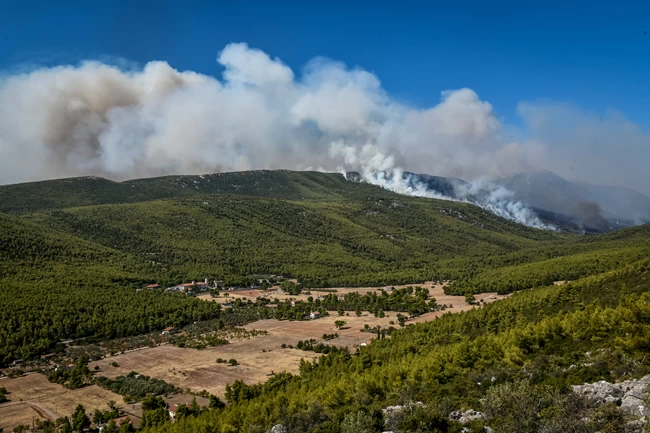 ΠΥΡΚΑΓΙΑ ΒΙΛΙΑ ΜΕΤΩΠΟ