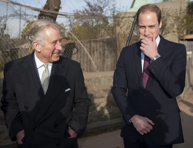 prince william prince charles
