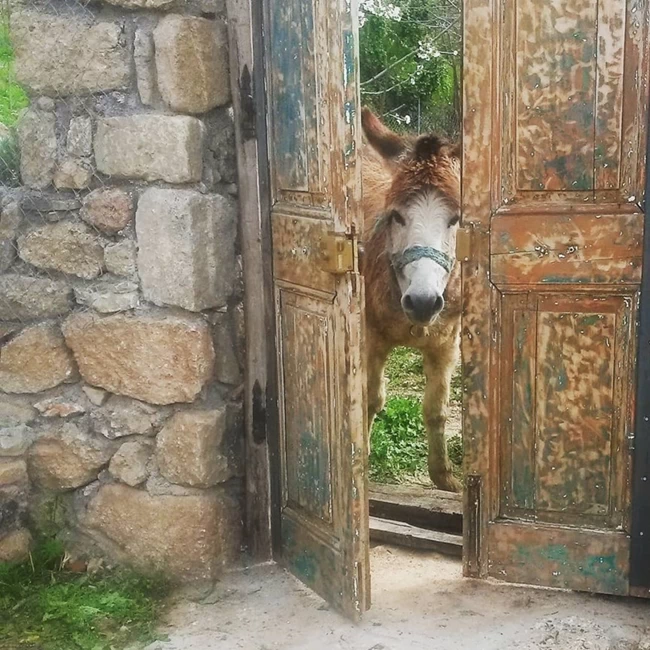 ΣΠΙΤΙ
