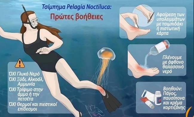 ΜΩΒ ΜΕΔΟΥΣΑ