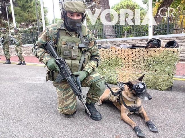 ΣΚΥΛΟΣ ΜΑΧΗΣ