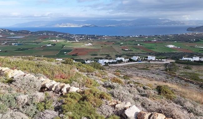 παρος καιλη