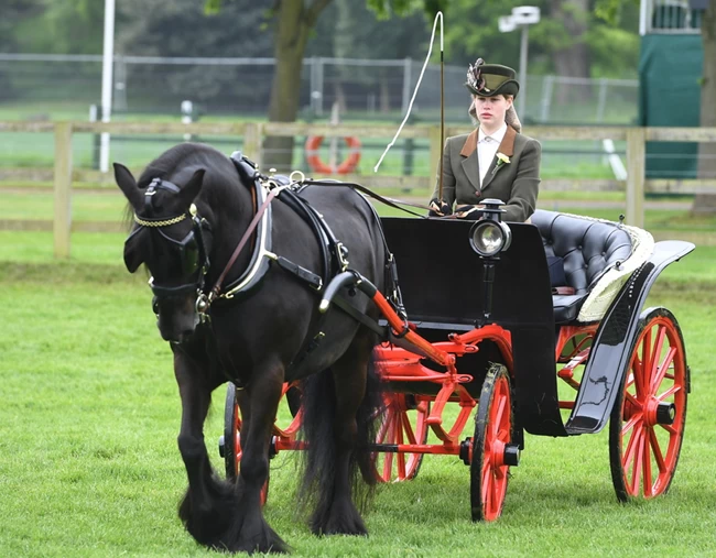 lady louise
