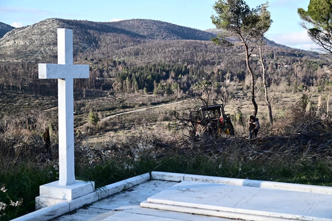 τατοι