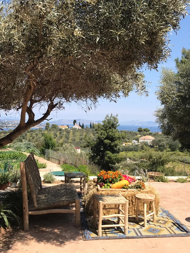 Αλλιώτικη εμπειρία: Γνωρίστε ένα μοναδικό βιολογικό μποστάνι στις Σπέτσες