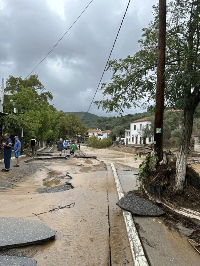 ΠΗΛΙΟ ΠΛΑΤΑΝΙΑΣ