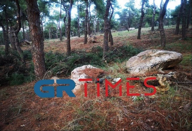 πολυχνι