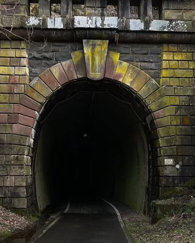 Γερμανία δολοφονία έφηβες