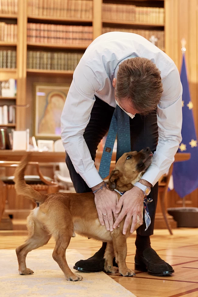 Σκύλος Μαξίμου
